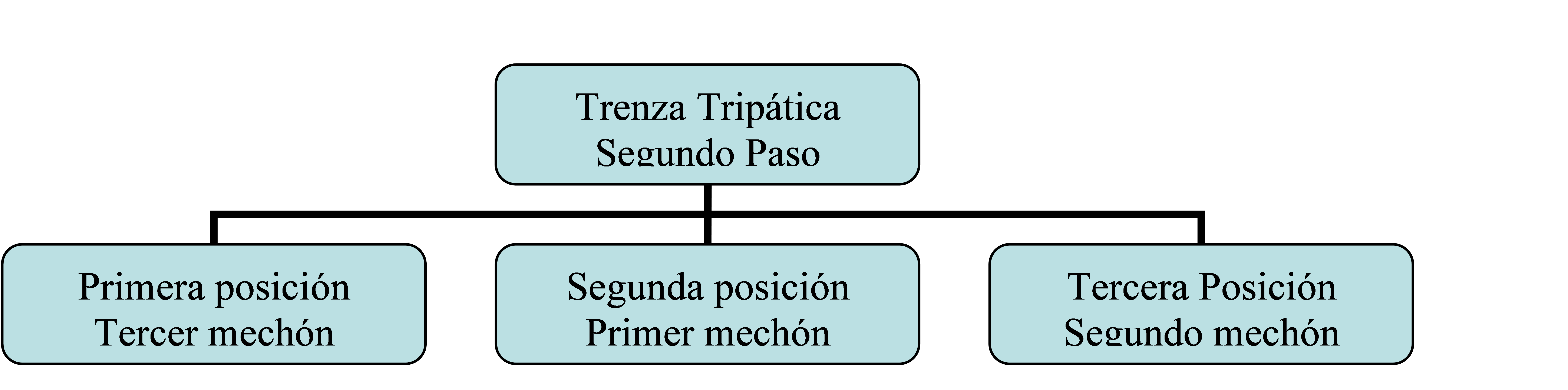 2.- Segundo Paso