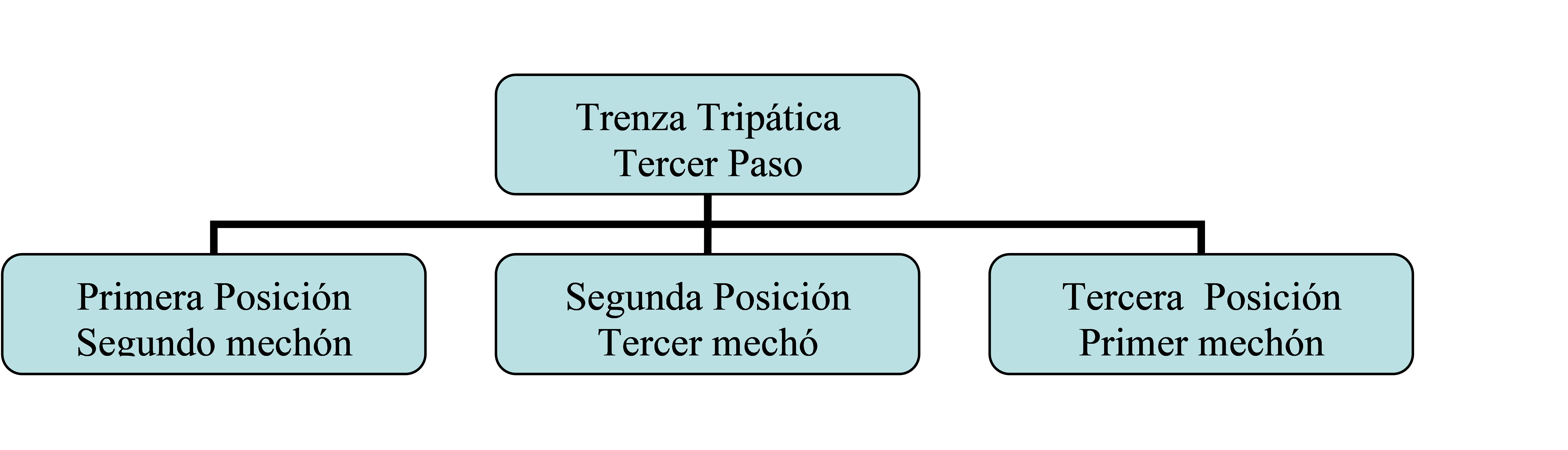 3.- Tercer Paso