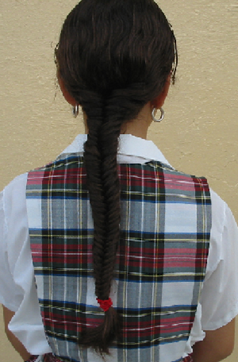 TRENZAS DE CUATRO PATAS O TETRAPÁTICAS