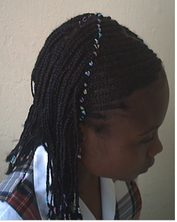 LAS EXTENSIONES