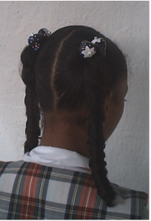 BIMOÑOS CON CARRERAS VERTICALES