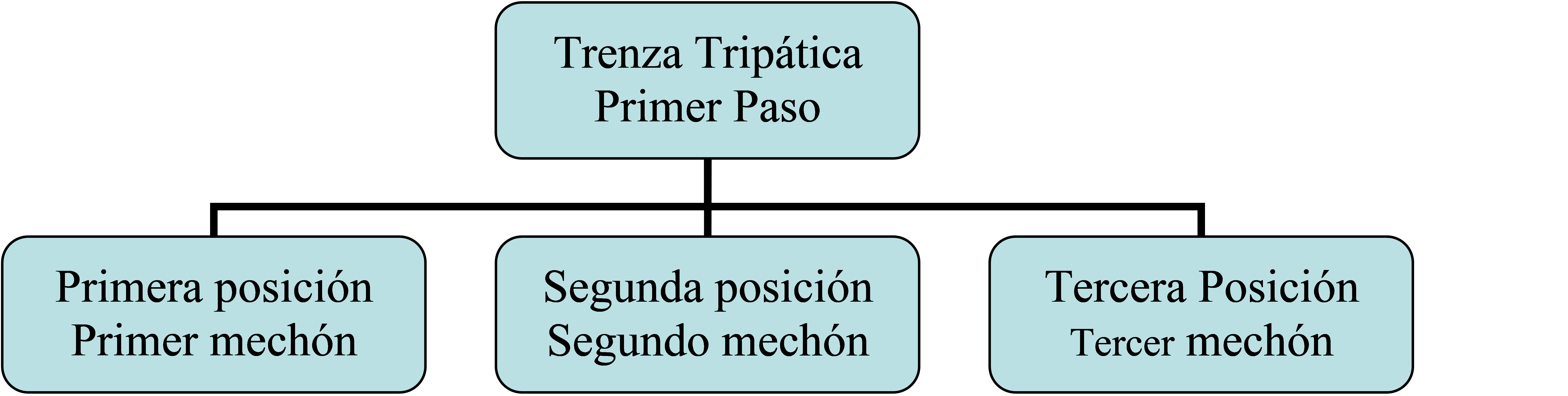 1.- Primer Paso: